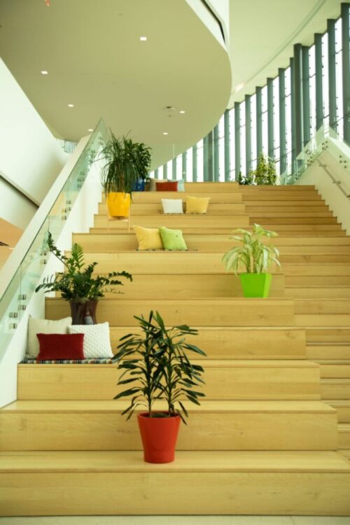 plants and seating on stairs