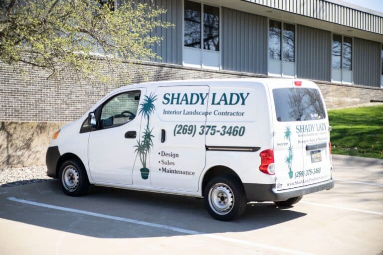 shady lady van